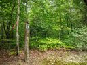 000 Meadow Ridge Drive sold home in Lake Toxaway, SC