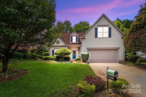 14203 Springsure Court