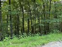 227 Birch Springs Lane sold home in Mars Hill, SC