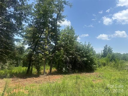 1850 Furnace Road Extension sold lot in Jonathans Walk, Lincolnton, NC
