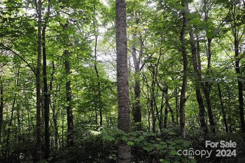 17 Wood Haven Lane active home in Laurel Ridge, Black Mountain, NC