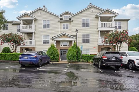9123 Mcdowell Creek Court