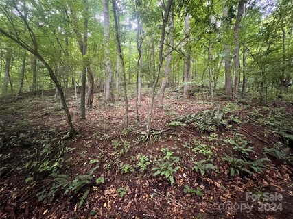 0 Country Club Drive sold lot in Springdale Estates, Canton, NC
