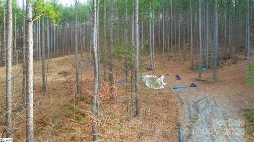 0 Pine Needle Lane 27 sold lot in Fork Mountain, Bostic, NC