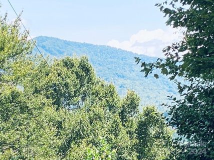 Lot 21 Torwood Lane sold lot in Torwood, Whittier, NC