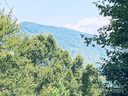 Lot 21 Torwood Lane sold home in Whittier, SC