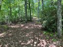 000 Open Ridge Trail 30 sold home in Pisgah Forest, SC