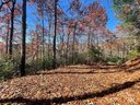 Lot 134 Green Hollow Lane sold home in Brevard, SC