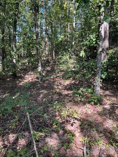 446 Mint Street sold lot in Castle Heights, Rock Hill, SC