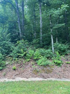 Lot 132 Rocky Acres Road sold lot in Heritage Farms, Hickory, NC