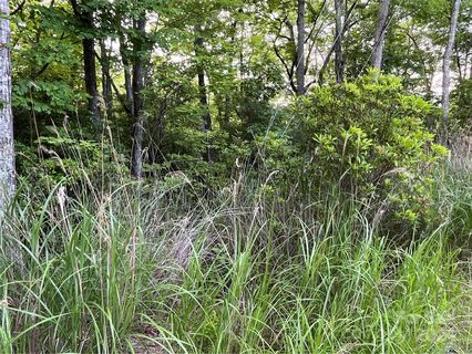 999 Erwin Hill Drive sold lot in Laurel Cove Retreat, Etowah, NC