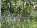 999 Erwin Hill Drive sold home in Etowah, SC