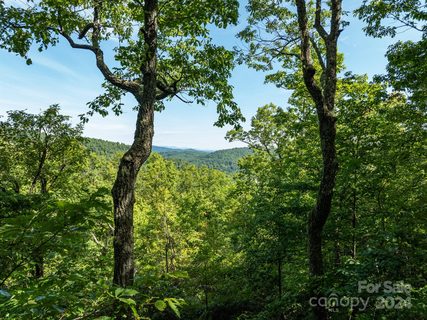 Lot 25 Panther Mountain Road active home in The Cliffs Valley, Zirconia, NC