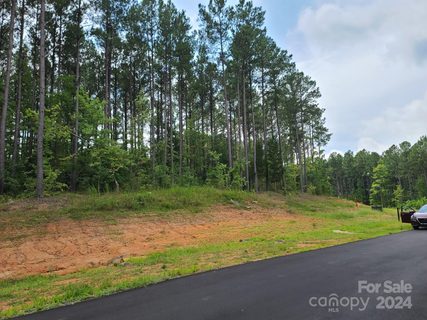 6444 Chimney Bluff Road sold lot in Riverchase, Lancaster, SC