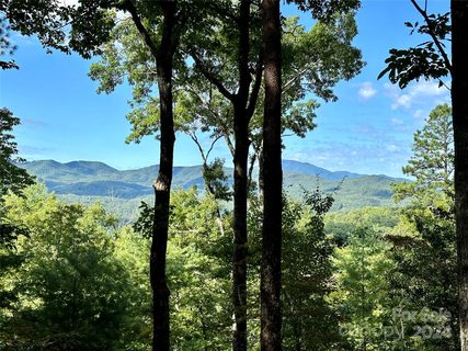 176 Winterberry Drive active lot in French Broad Crossing, Marshall, NC