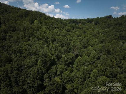 0 Horse Branch Road sold land listing in Pelohi Cove, Bryson City, NC