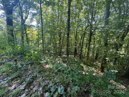 229 Hanging Rock Road