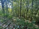 229 Hanging Rock Road sold home in Mars Hill, SC