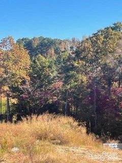 6838 Forney Hill Road sold land listing in Creek Run, Denver, NC