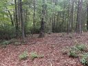 0 Waters Edge Drive 19-15 sold home in Nebo, SC