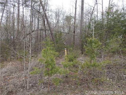 385 Bluegill Lane