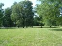 8228 Rolling Fields Road sold home in Charlotte, SC