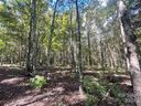 6350 Hawk Nest Drive sold home in Concord, SC
