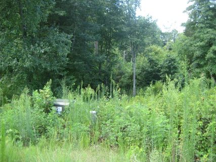 130 Whistling Pines Drive