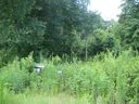 130 Whistling Pines Drive sold home in Statesville, SC