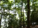 Lot 11 Tributary Drive sold home in Fort Lawn, SC