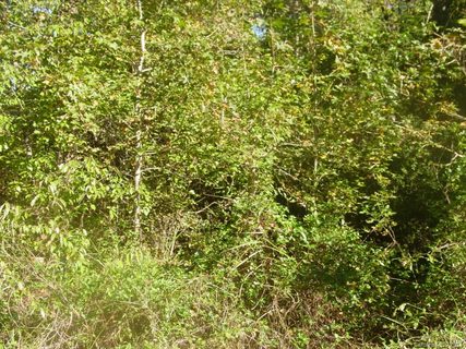 221 High Ridge Circle sold lot in Glenwood Acres, Maiden, NC