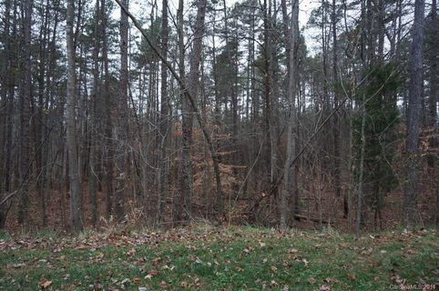 117 Hawks Nest Lane sold lot in Woodstream Estates, Mooresville, NC