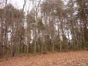 00 Elysian Drive 63 sold home in Mooresville, SC