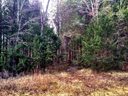 9205 Guildbrook Road 61 sold home in Davidson, SC