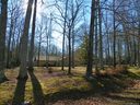 7820 Irwin Road sold home in Charlotte, SC