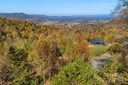 134 View Ridge Parkway 93 sold home in Leicester, SC