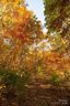 3 08 Ac Cobblestone Drive sold home in Waynesville, SC