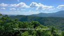 Lot 35 Heritage Ridge Road sold home in Burnsville, SC