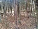 9303 Guildbrook Road 146 sold home in Davidson, SC