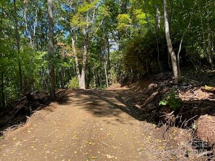 Lot G42 Odalu Trail active home in Smoky Mountain Retreat At Eagles Nest, Maggie Valley, NC