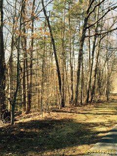 121 Plum Tree Lane