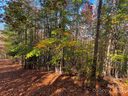 V L Jeremy Drive 70 & 71 sold home in Nebo, SC
