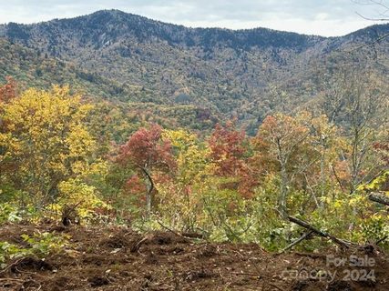 Lt 19 Catawba Ridge