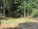 115 Woodberry Drive sold home in Cherryville, SC