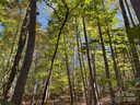 Tbd Brindlewood Drive 67,68 sold home in Nebo, SC