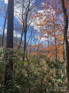 0 Little Mountain Road 25 & 26 sold lot in Laurel Branch Estates, Maggie Valley, NC