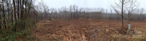 207 Ridge Creek Drive sold home in Rocky Creek Cove, Troutman, NC