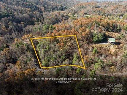 99999 Big Raven Lane active home in Winfield Cove, Saluda, NC