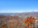 99999 Mountain Lily Ridge Drive sold home in Swannanoa, SC