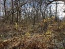 99999 Stoner View Road sold home in Asheville, SC